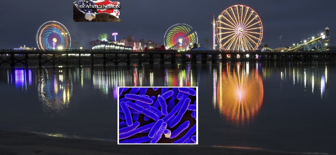 E. Coli Claims Life of One Child and More Infected in San Diego A